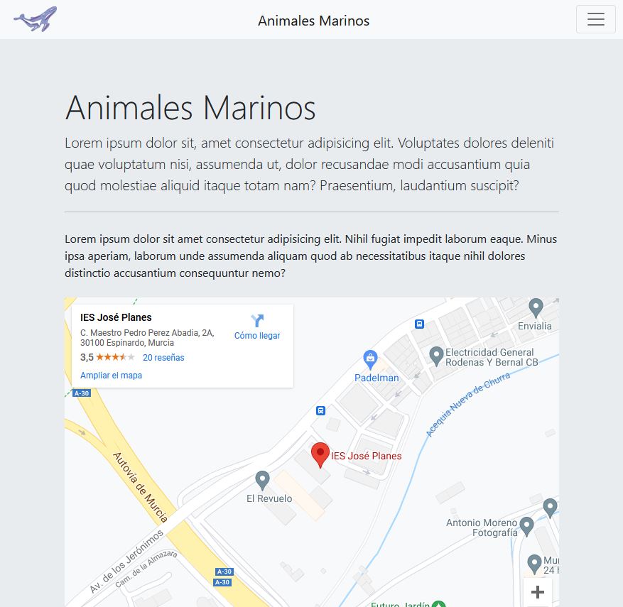 Home Animales Marinos